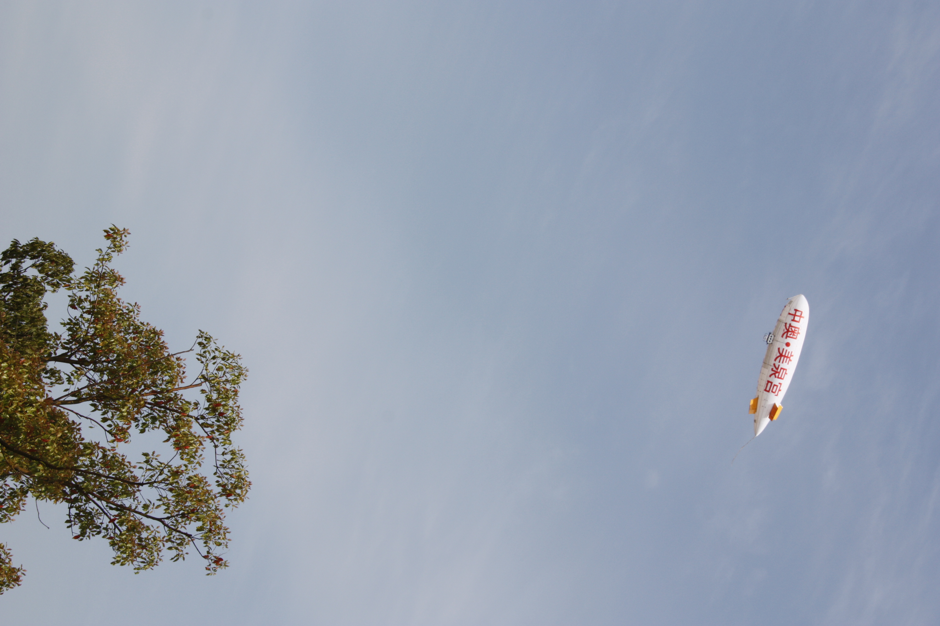 Picture 482740518.jpg